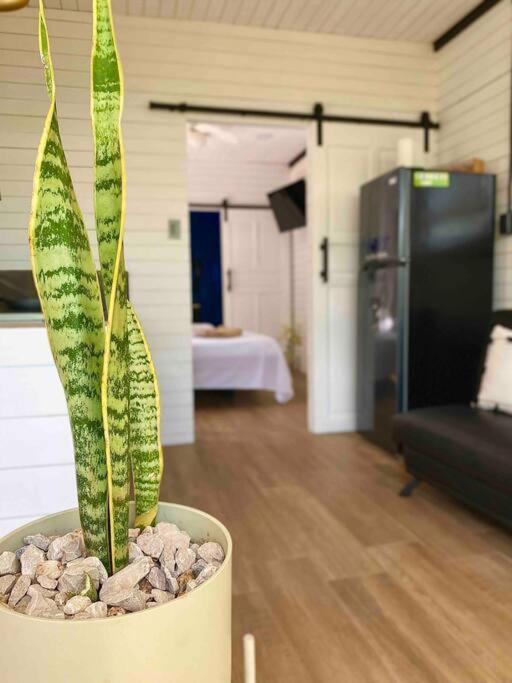 Hoja Azul Loft Guanacaste Daire Hojancha Dış mekan fotoğraf